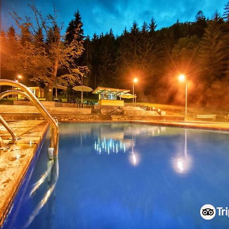 Day In Borjomi 아파트 외부 사진