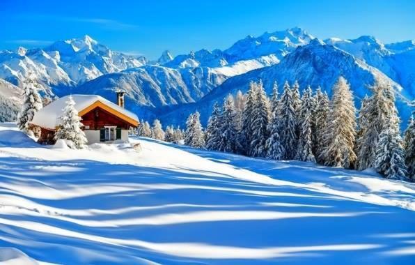 Day In Borjomi 아파트 외부 사진