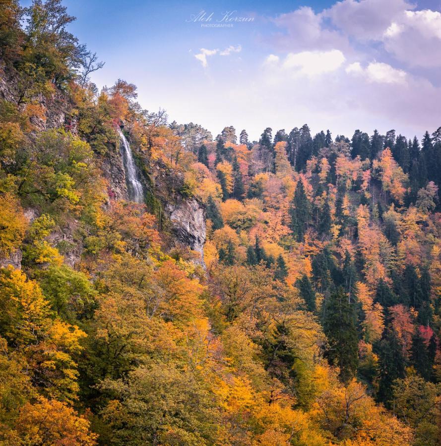 Day In Borjomi 아파트 외부 사진