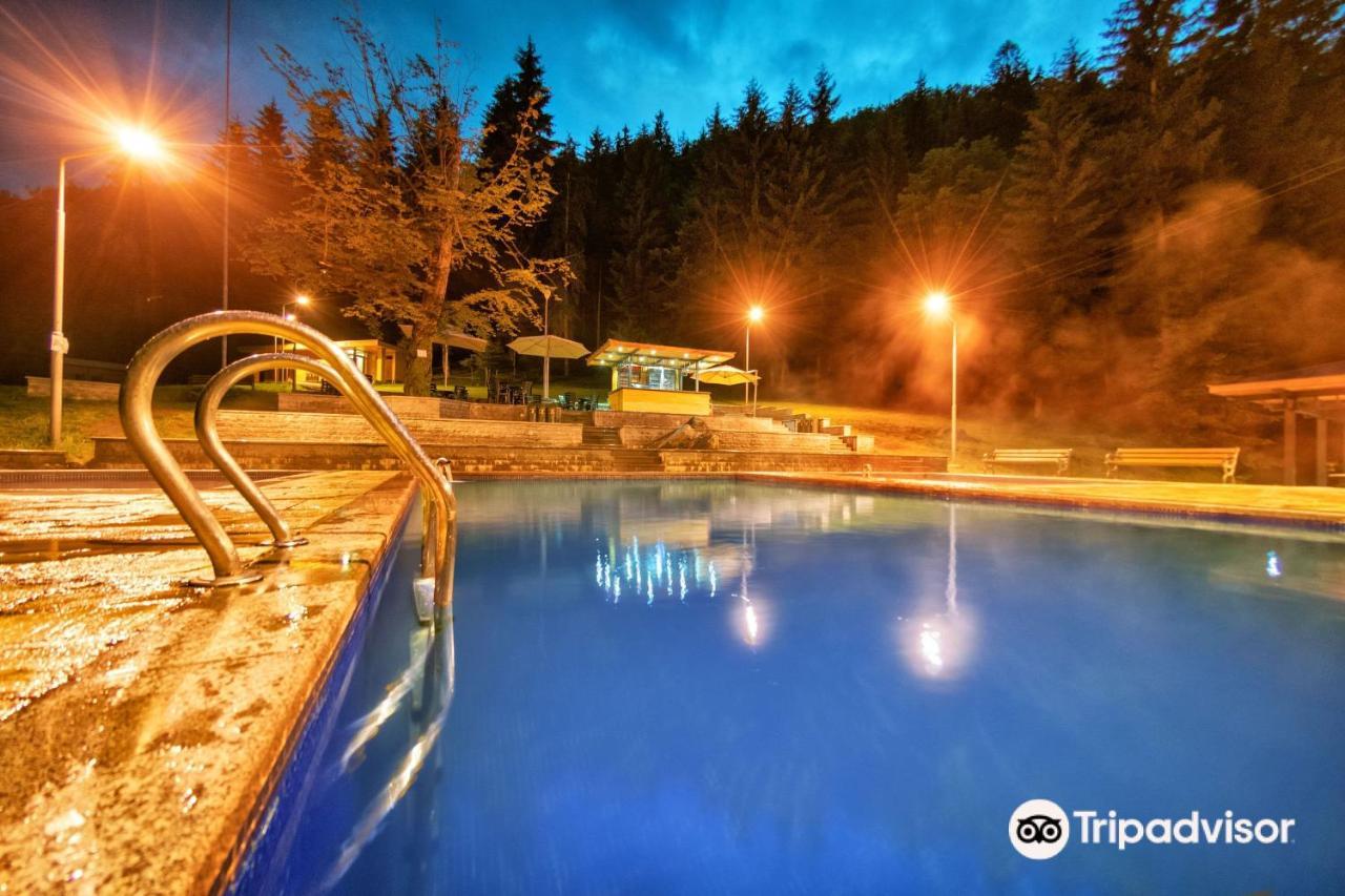 Day In Borjomi 아파트 외부 사진